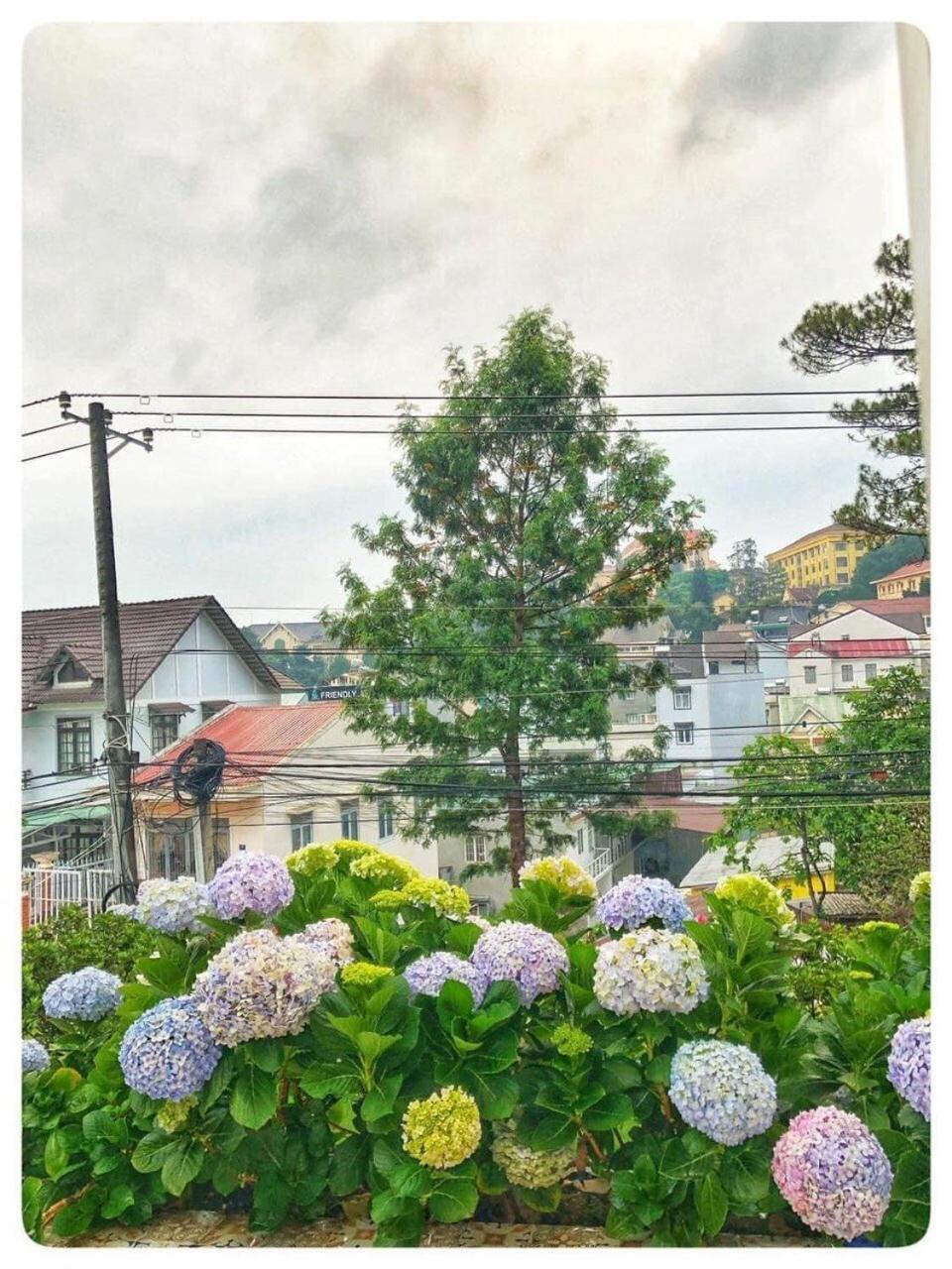 Biet Thu Trang Da Lat Villa Екстериор снимка